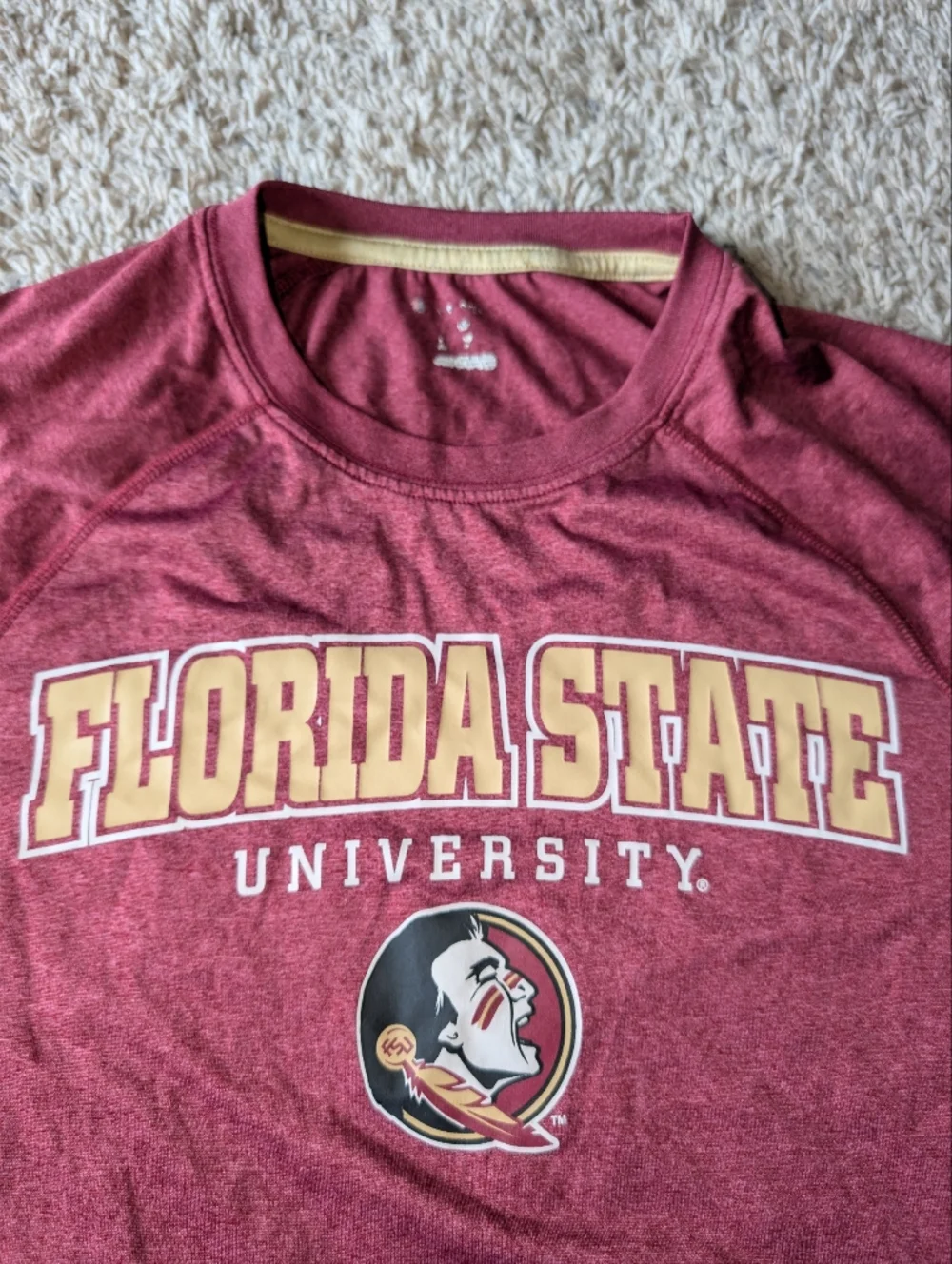 Champion Florida State Seminoles Maroon Short Sleeve Mens Tee Size M - Picture 2 of 4